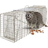 Best Groundhog Trap Reviews 2020 - Consumer Guides