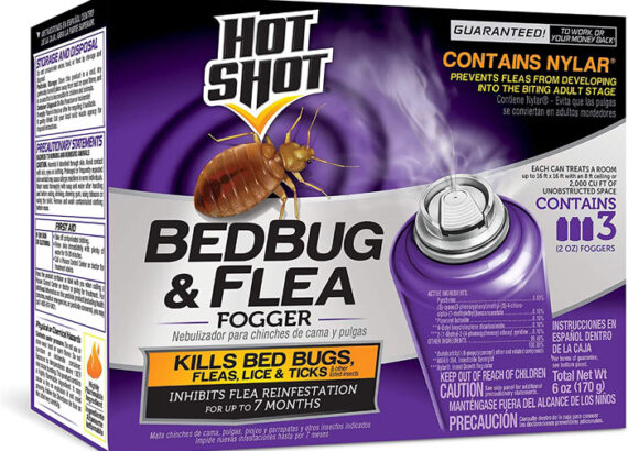 Best Ultrasonic Bat Repellent Reviews 2020 - Consumer Reports