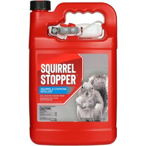 Best Squirrel Repellent Spray 2020 - Consumer Guides