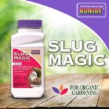 Best Slug Repellent Review 2020 - Consumer Guides