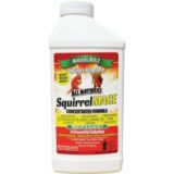 Best Squirrel Repellent Spray 2020 - Consumer Guides