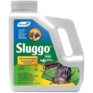 Best Slug Repellent Review 2020 - Consumer Guides